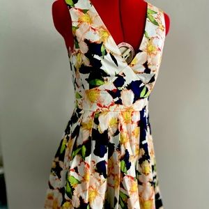 J Crew Deep V Neck Floral Dress